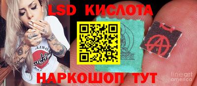 ALPHA PVP Будённовск