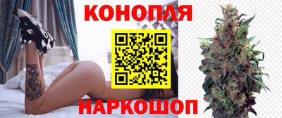 стаф Бузулук