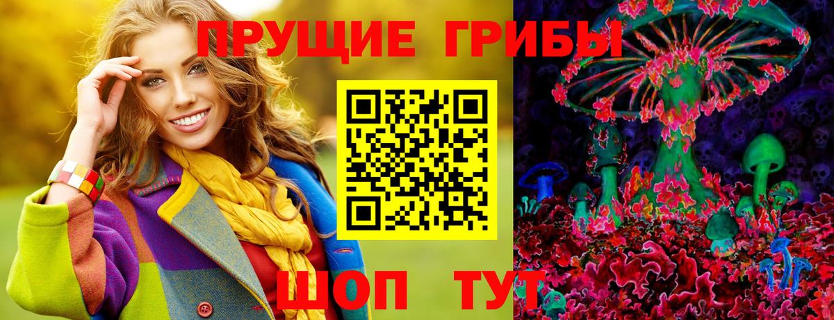 Партизанск  Галлюциногенные грибы Psilocybe  Вход с VPN 