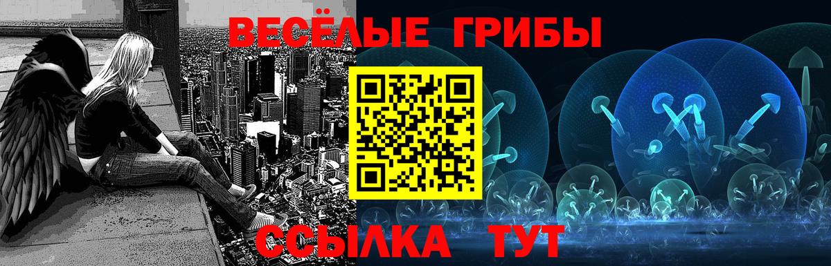 Галлюциногенные грибы мицелий Партизанск